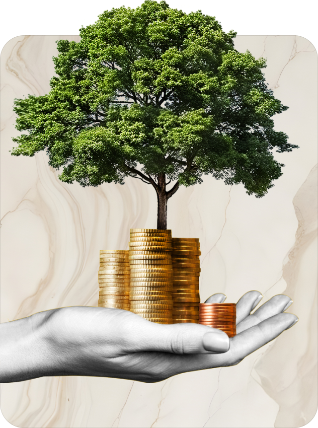 image_02 https://finstrategia.com/wp-content/uploads/2024/09/image_02.png