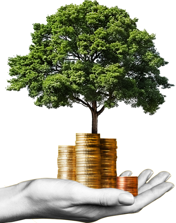 image_group_02 https://finstrategia.com/wp-content/uploads/2024/09/image_group_02.png